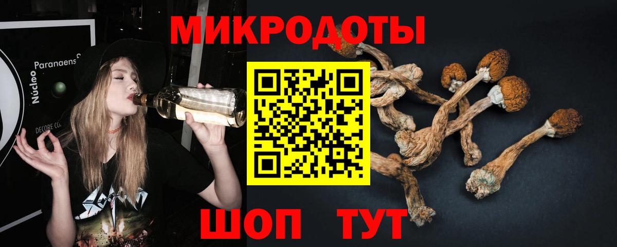 Псилоцибиновые грибы мицелий  Вход с VPN  Костомукша  Псилоцибиновые грибы MAGIC MUSHROOMS 